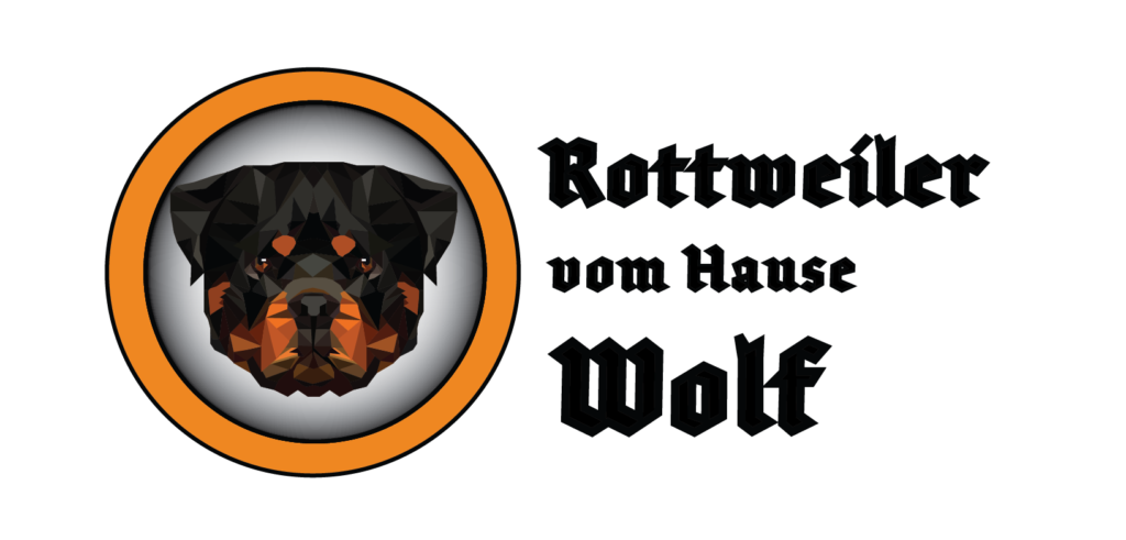 Wolf rottweiler clearance